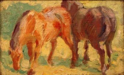 Small Horse Picture