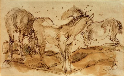 Horses in the Pasture