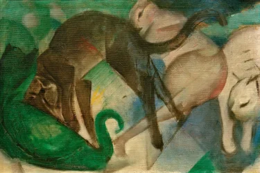 Playing Cats (Cat Picture)