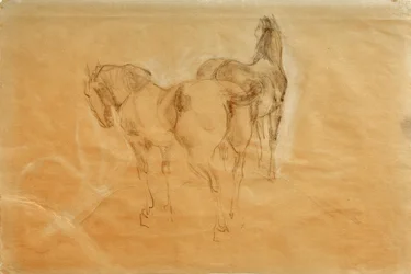 Two Horses