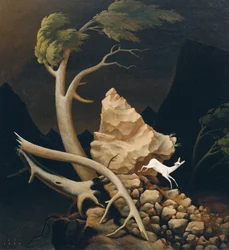Storm