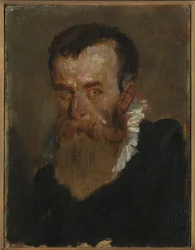 Portrait Study