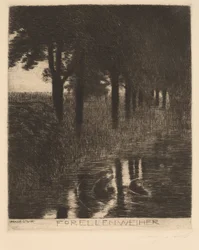 Trout Pond