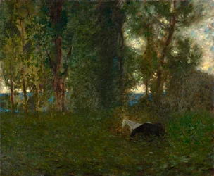 Grazing Horses