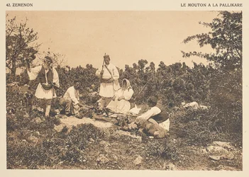 Zéménon. The Sheep at Pallikare