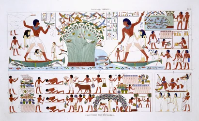 Preparing food for Dead, from a Rare Record of Frescoes from Thebes, recorded 1819-1822 on his second visit to Egypt by Frederic Cailliaud