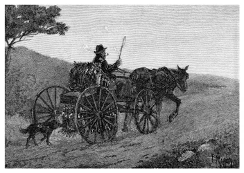 A Colac Rabbit Trapper, 1886