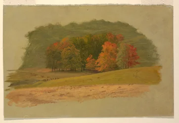 Autumn Landscape