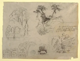 Botanical Studies and a House, probably from Colombia