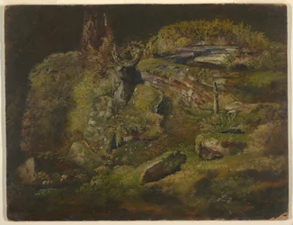 Boulder in the Woods