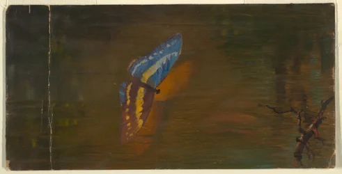 Butterfly over Water