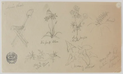 Chair and Flowering Plants, Baalbek