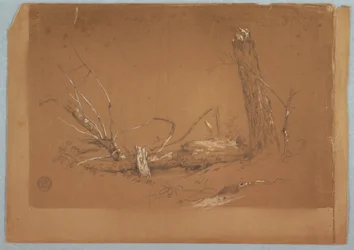 A Broken dead tree, 1855-65