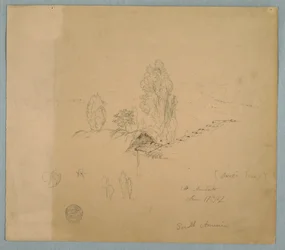 A Thatch Roof and a Tiled Roof with Tree Tops in a Mountainous Landscape near Chimborazo, Ambato, Ecuador, June 17, 1857
