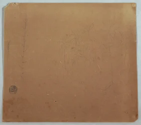 Botanical Sketches, Possibly Bamboos, Palms and Bushes, Ecuador or Colombia, 1853 or 1857