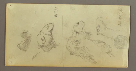 Camel Studies, February 21–22, 1868