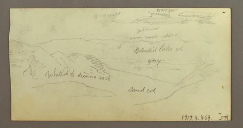 Camel Studies, February 21–22, 1868