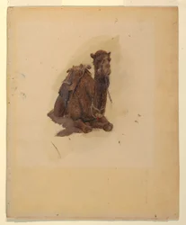 Crouching dromedary, 1868