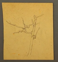 Dead Trees, Possibly July 1866