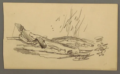 Fallen tree, possibly 1877