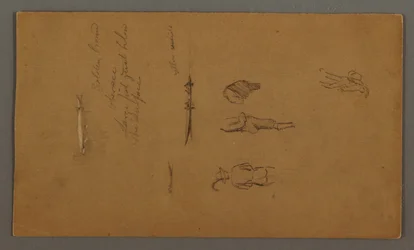 Figure Studies, Figure in Boat, Fish, Possibly 1868