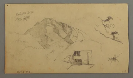Glacier, August 21, 1868
