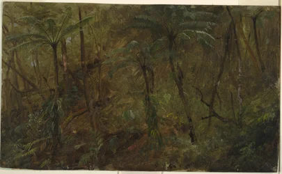 In the Woods of Jamaica, West Indies, 1865