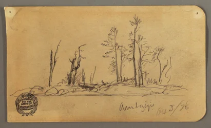 Island, 1878
