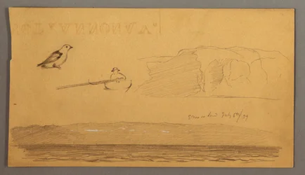Man in boat, bird, cliffs, coast, July 6, 1859