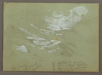 Mountainside, April 1869