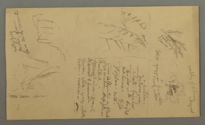 Plant Studies, Plant-Notes, Waterfall, 1868