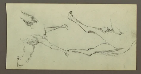 Study of Camel