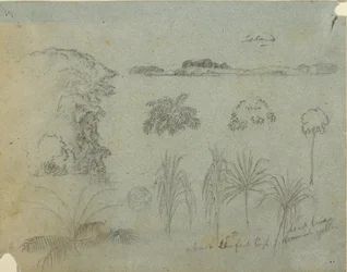 Study with Tree Tops, Trees, Five Designs of Plants, and a Distant Island, ca. 1852–53