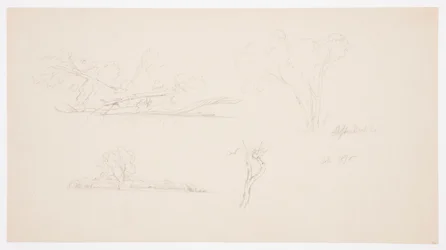 Trees, a Shore with Bushes and Trees, September 1876