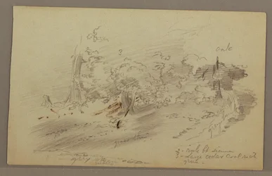 Trees, possibly 1860s