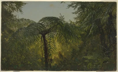 Tropical Landscape, June or July 1865