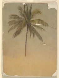 Trunk and top of a palm tree, 1865