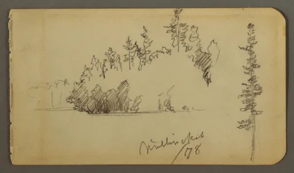 Wooded Shore, Tree Study, 1878