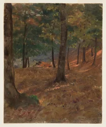 Woodland Scene, 1870–80