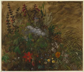 Flowers in Jamaica