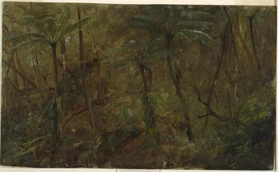 In the Woods, Jamaica