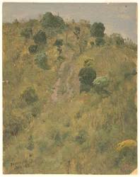 Landscape, Jamaica
