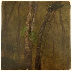 Landscape in Jamaica