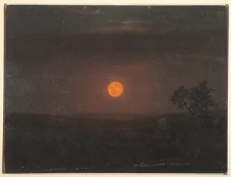 Moonlight