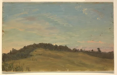 Summer Landscape