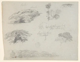 Trees, Tree Tops, and a Wooded Bank, Saddleback, Maine