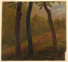 Woodland Scene, Jamaica