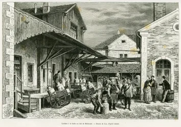 Dairy at the Milk Hall of Mulhouse. Engraving by Lix to illustrate the story 