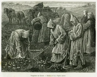 Trappists at work. Engraving to illustrate the story A travers l
