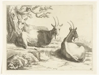 Goats The Drawing Book of Abraham Bloemaert (series title)